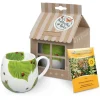 Outlet Mug +Giftbox + Flower Seeds Ladybird On Leaves Animals