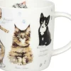 Best Mug Natures Diversity - Kitten Animals