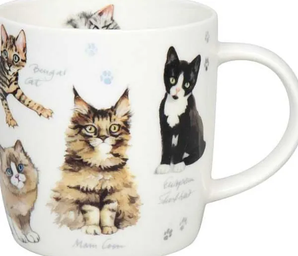 Best Mug Natures Diversity - Kitten Animals