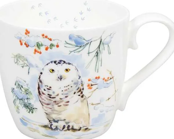 Hot Mug Winter Owl Winter